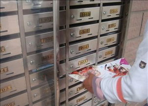 松江區(qū)dm設(shè)計(jì)印刷制作投遞