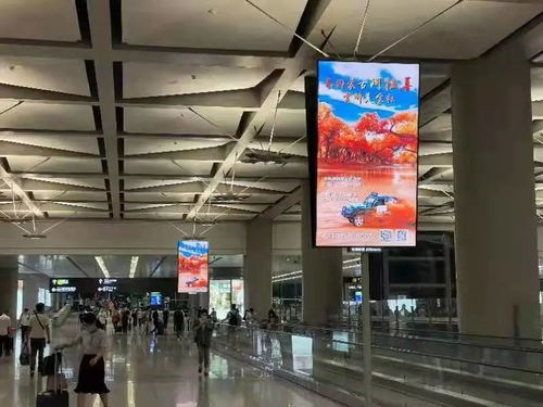 醉美金秋邀您同行 阿拉善宣傳廣告亮相上海虹橋國(guó)際機(jī)場(chǎng)